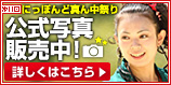 ��11��ɂ��ۂ�ǐ^�񒆍Ղ�&nbsp;�����ʐ^�̔����I