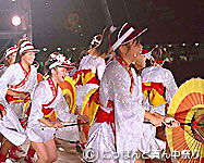 D.D.MJpj[