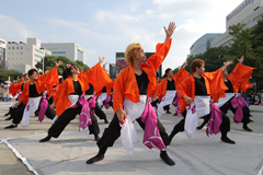 福井大学よっしゃこい