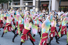 京炎 そでふれ！京小町