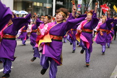 岩倉鳴子踊りの会　五条川桜