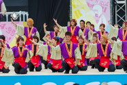 佛教大学よさこいサークル紫踊屋