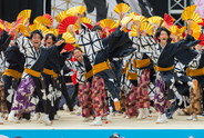 岐阜聖徳学園大学 柳