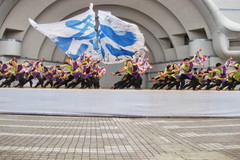 祭・WAIWAIよこはま