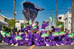 地域会場部門　入選 「咲き誇る東郷のアヤメ達」 岡野　智一