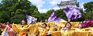 名古屋城会場のイメージ写真