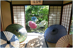 しなの大和&鼓魂