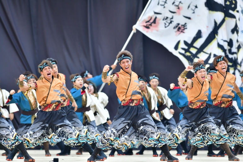 京炎そでふれ!輪舞曲 チーム写真