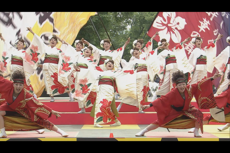 ひがしかぐら東神酔華の舞 チーム写真