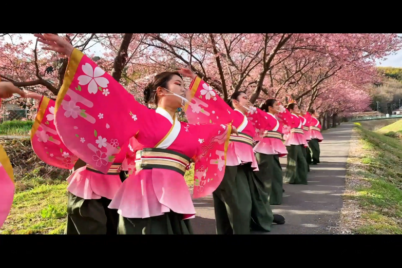 静岡大学よさこいサークルお茶ノ子祭々 チーム写真