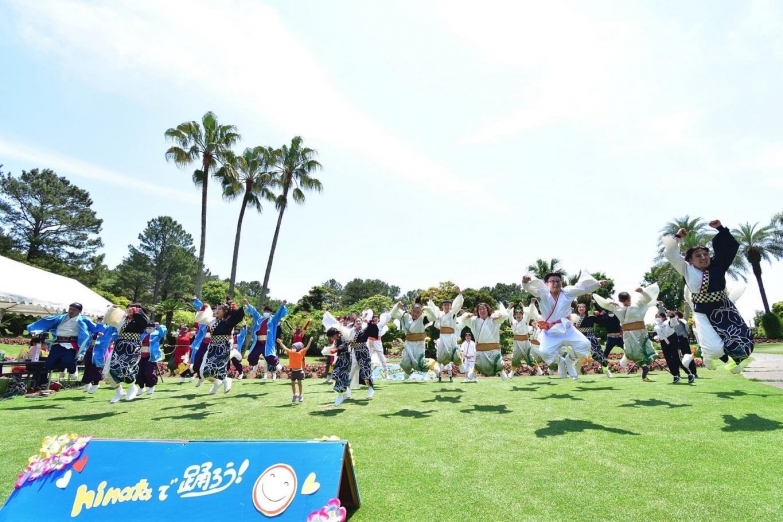宮崎県よさこい連絡協議会 チーム写真
