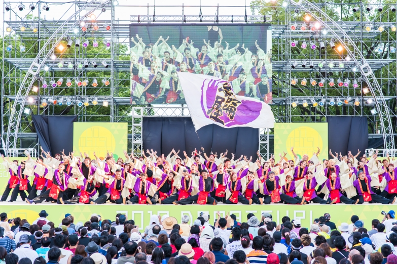 佛教大学よさこいサークル紫踊屋 チーム写真