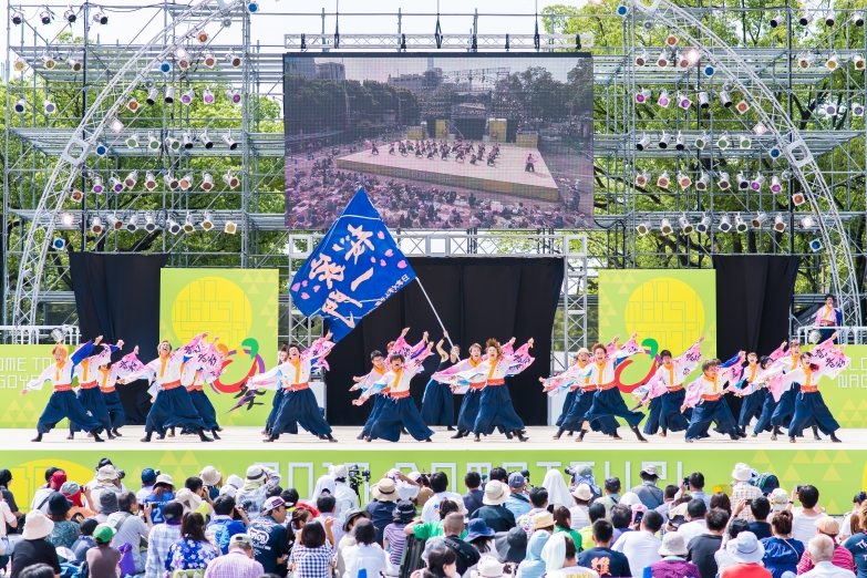 桜家一門YOSAKORI隊 チーム写真