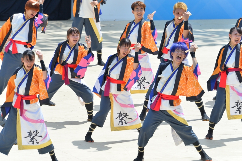 桜家一門YOSAKORI隊 チーム写真