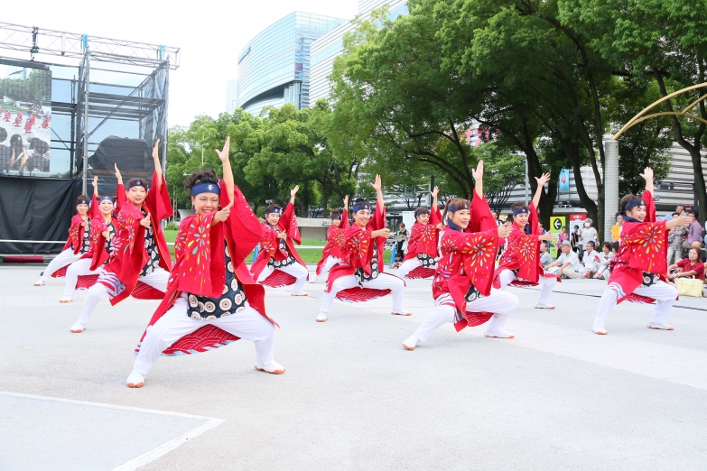 踊華三好 チーム写真