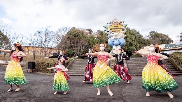 Hula Ohana チーム写真