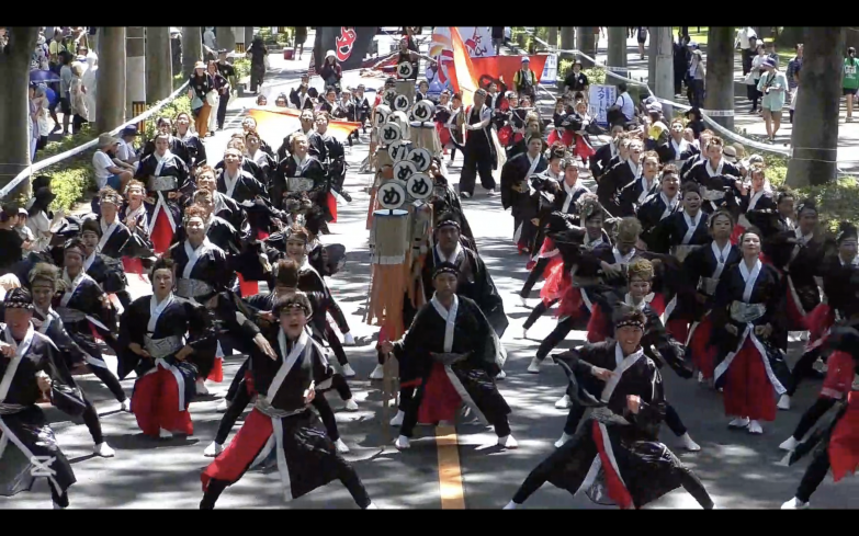 朝霞鳴子一族め組｜参加チーム紹介｜公益財団法人にっぽんど真ん中祭り